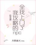 我攻略的npc全找上门了[娱乐圈］